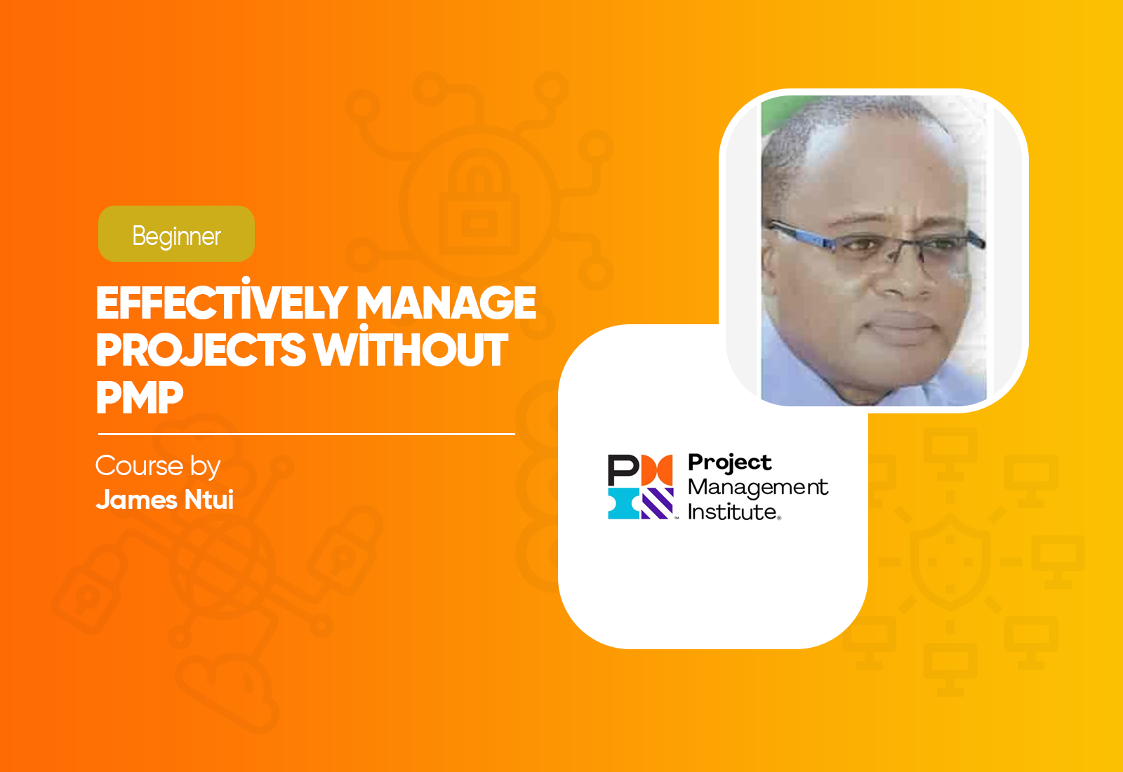 Effectively Manage Projects without PMP Course