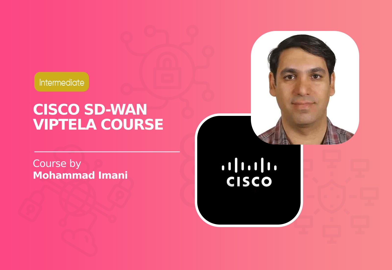 Cisco SD-WAN Viptela Course by Mohammad Imani